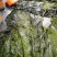 盐渍海带一颗菜威海荣成盐渍海带加工厂源头