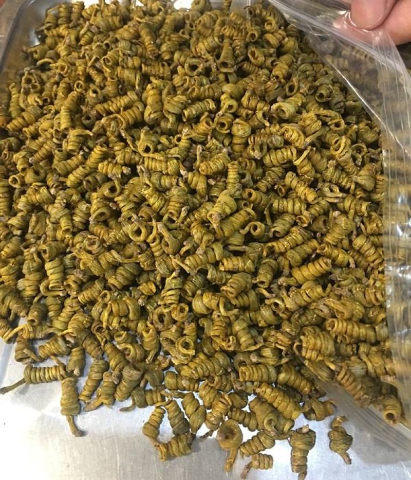 包邮正品霍山石斛米斛枫斗龙头凤尾铁皮鲜条养生茶中药材打粉
