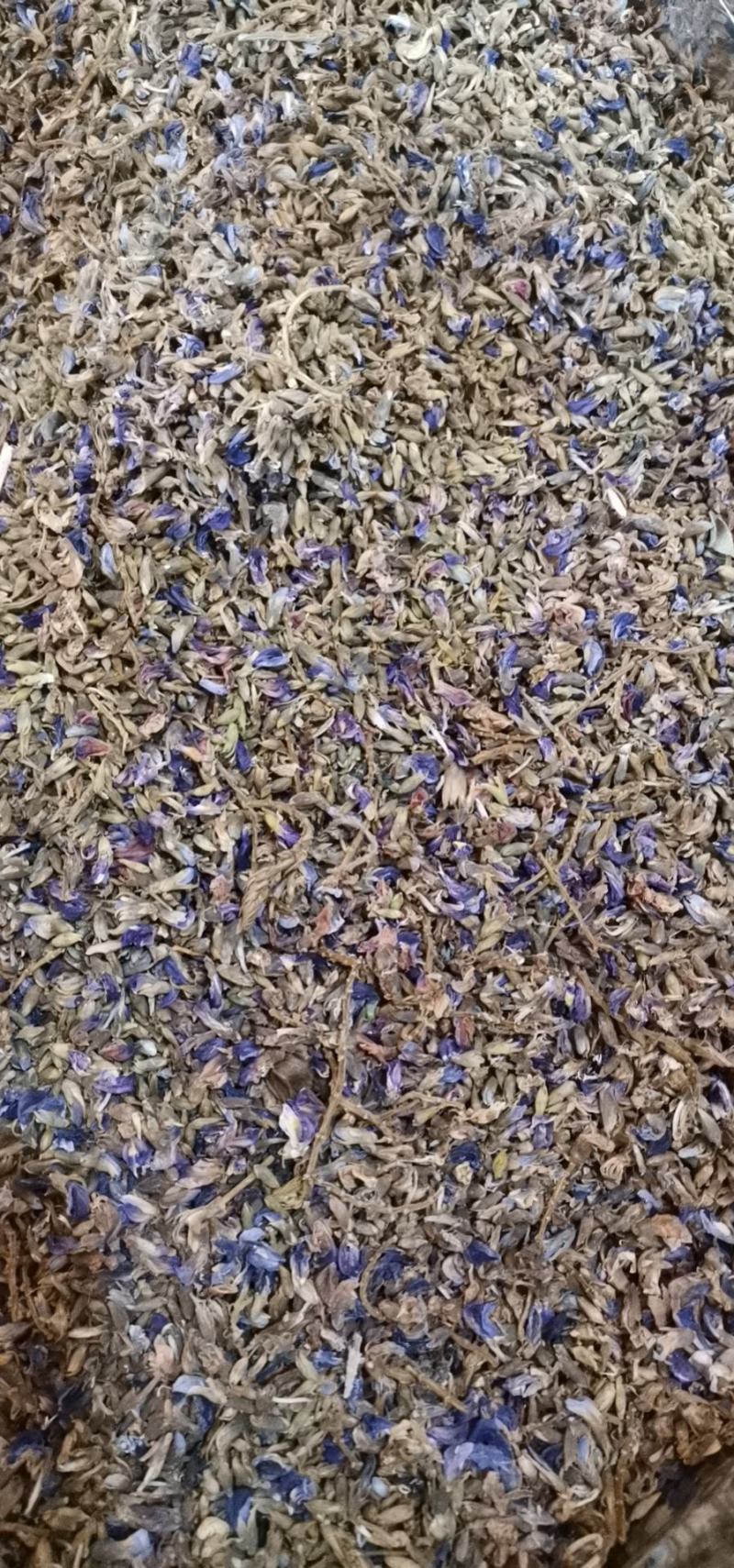 葛花葛根花葛藤花干净无杂质干货农产品