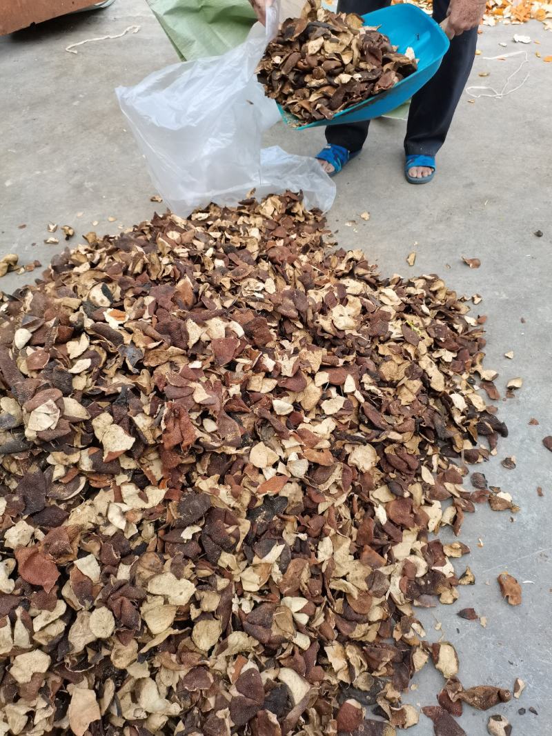 陈皮丝，陈皮个，泡茶煲汤老陈皮，大货供应，批零兼营