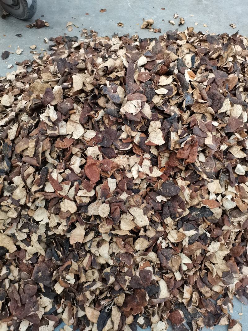 陈皮丝，陈皮个，泡茶煲汤老陈皮，大货供应，批零兼营