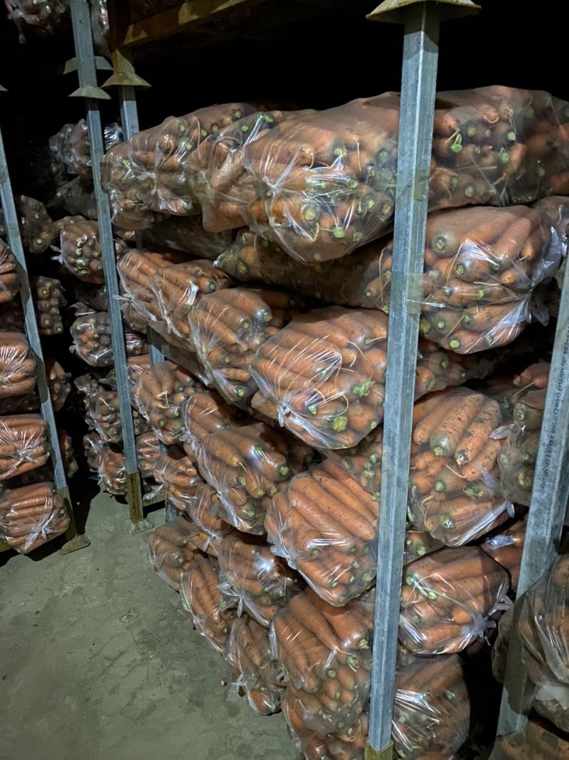 2024胡萝卜供应胡萝卜北京包，电商质量好价格低