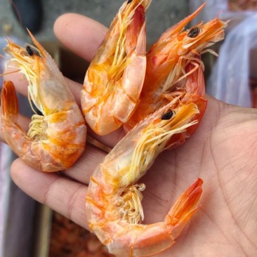 无盐淡干烤虾，补钙佳品，老少皆宜！