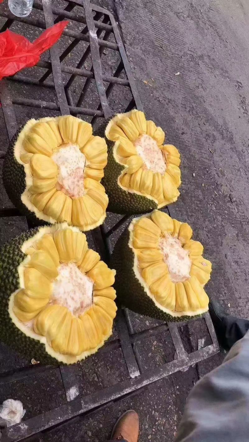 泰国菠萝蜜，货源充足，欢迎采购。