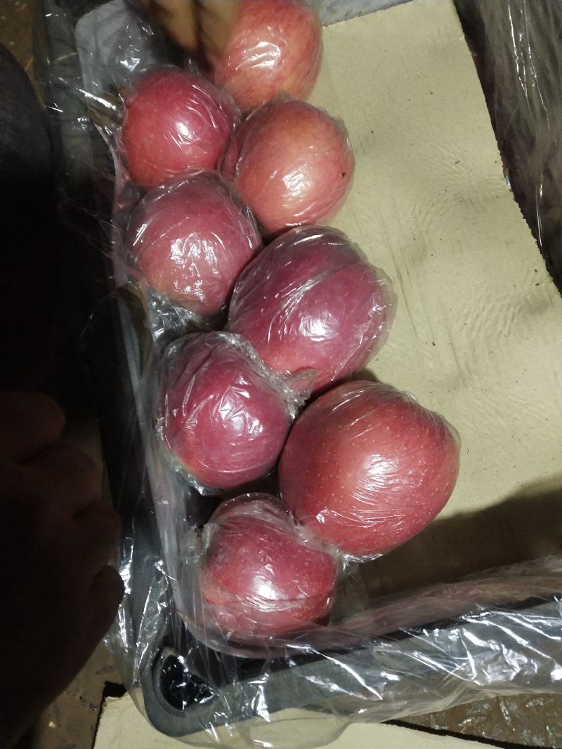 山西冰糖心红富士，纸加膜