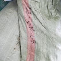 贺家泉黄花菜发个客户反馈视屏