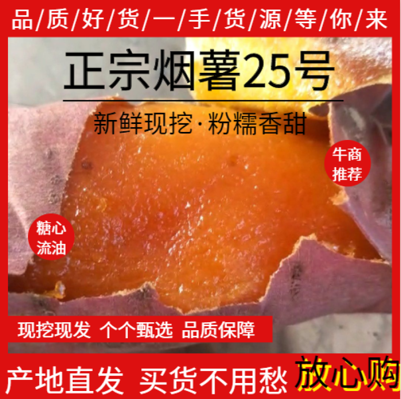 烟薯25小薯3两以下商品红薯精捡包装