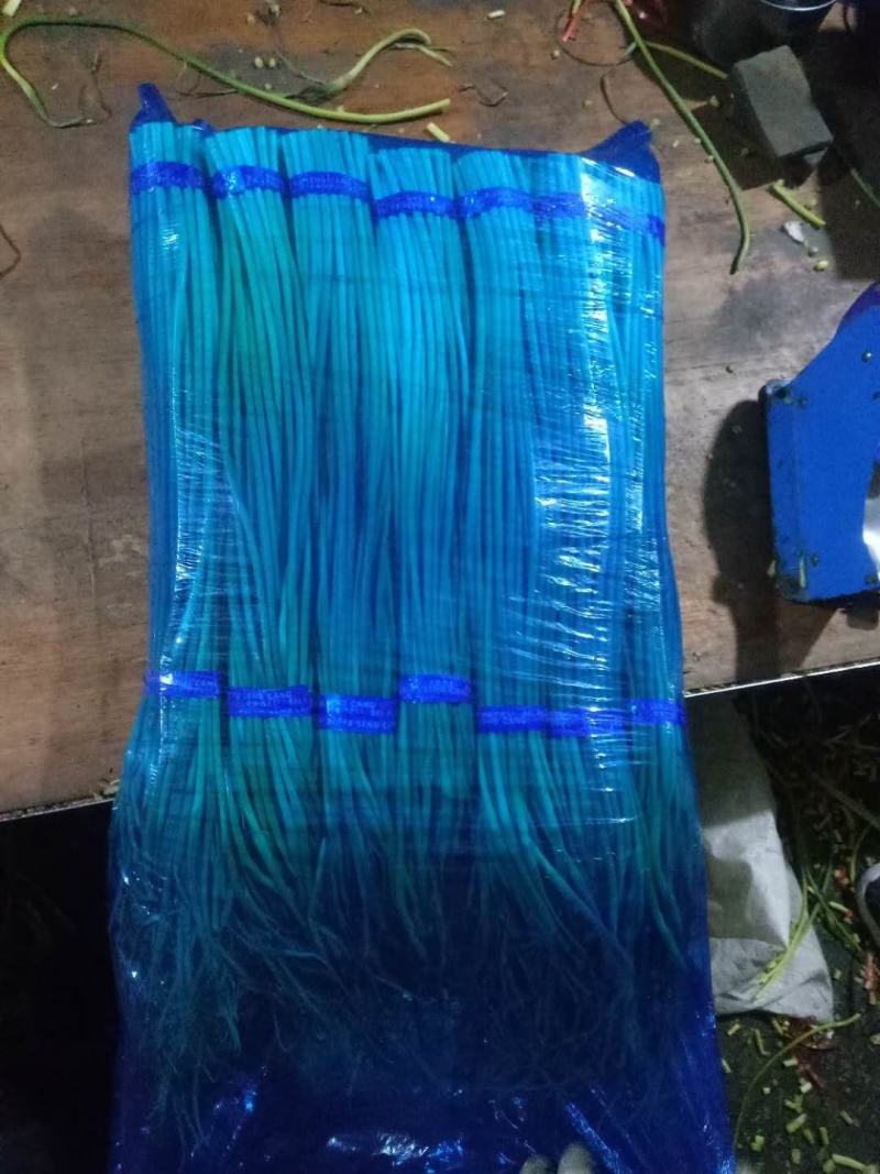 山东红帽蒜苔早熟蒜苔产地直供价格便宜实力配资