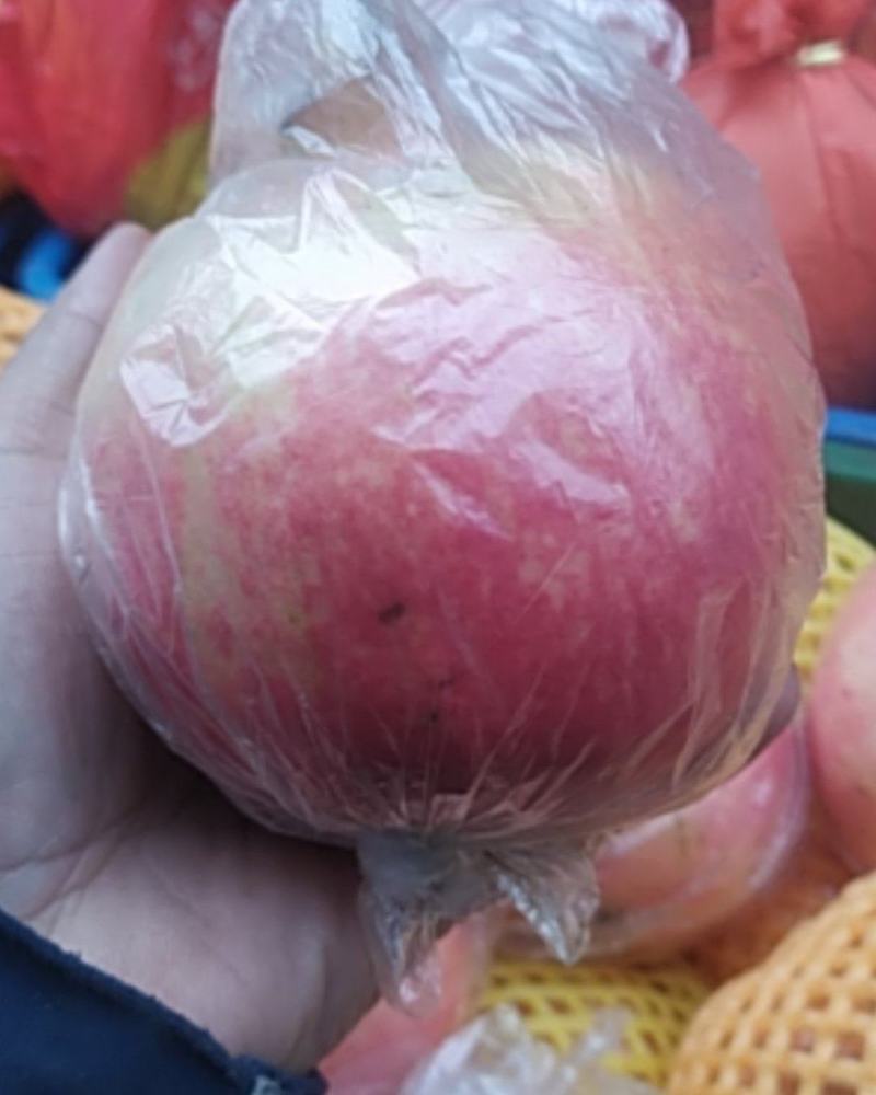大凉山突尼斯软籽石榴