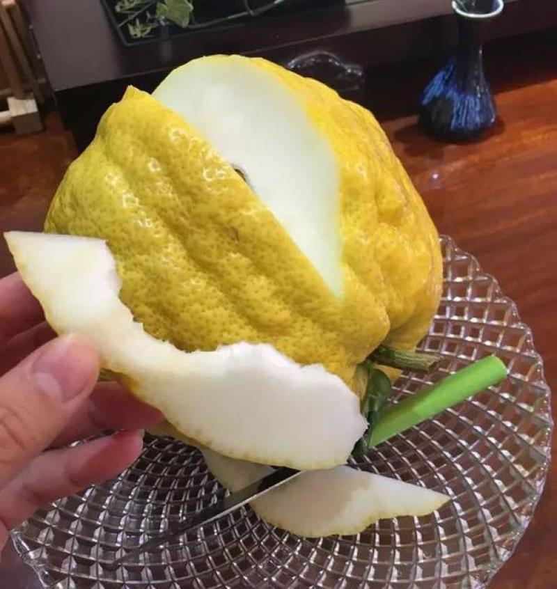 大理生态种植天然香橼