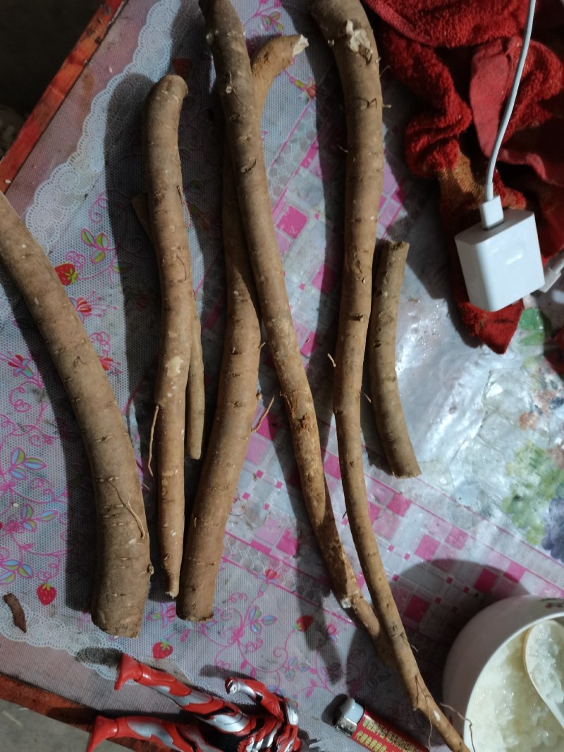 白芍片，各种规格，欢迎各位老板采购