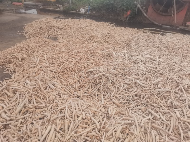 白芍片，各种规格，欢迎各位老板采购