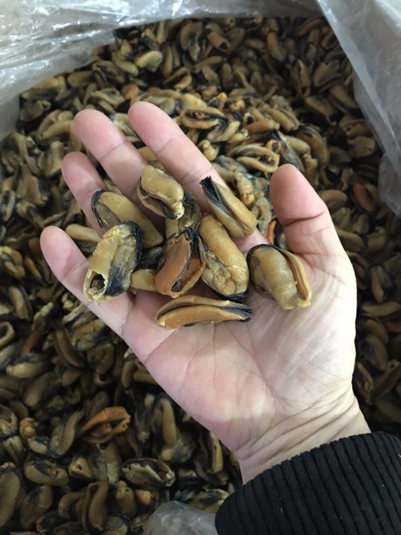 淡菜青口海鲜干货批发2斤包邮