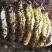 【海南土蜂蜜】海南正宗深山野蜂蜜保质保量欢迎选购