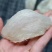 印尼燕窝批发半干挑4A中密盏燕盏95干50g610元
