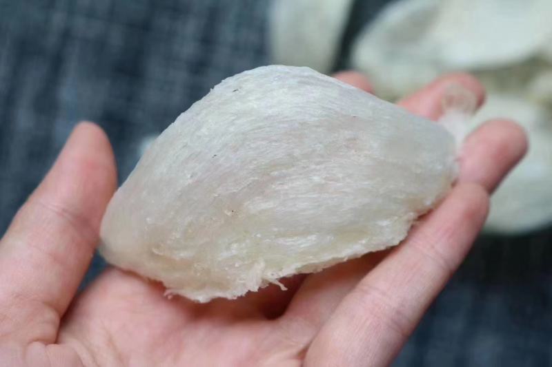 印尼燕窝批发半干挑4A中密盏燕盏95干50g610元