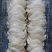 印尼燕窝批发半干挑4A中密盏燕盏95干50g610元