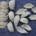 印尼燕窝批发半干挑4A中密盏燕盏95干50g610元