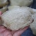 印尼燕窝批发爪哇大盏燕盏95干50g530元