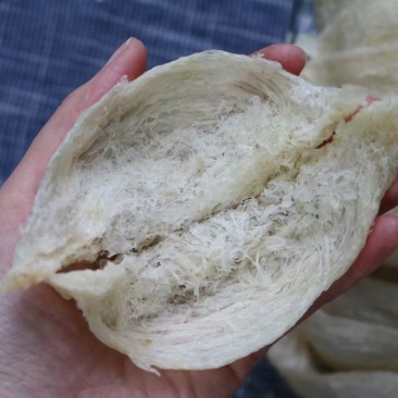 印尼燕窝批发爪哇大盏燕盏95干50g530元