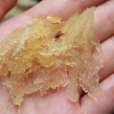 印尼燕窝批发金丝中小条燕条50g440元