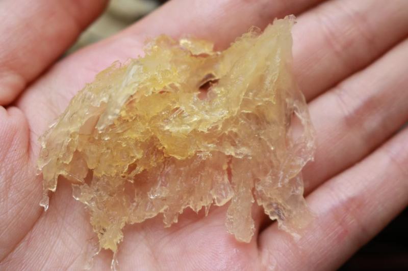 印尼燕窝批发金丝中小条燕条50g440元