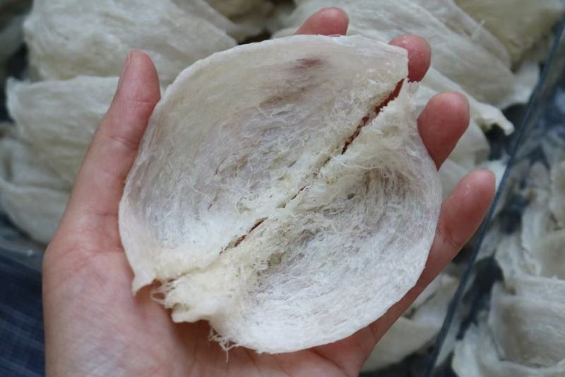印尼燕窝批发干挑爪哇大盏燕盏95干50g570元