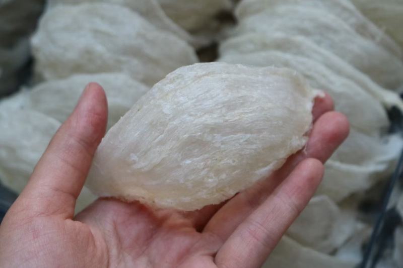 印尼燕窝批发干挑爪哇大盏燕盏95干50g570元