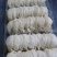 印尼燕窝批发干挑爪哇大盏燕盏95干50g570元