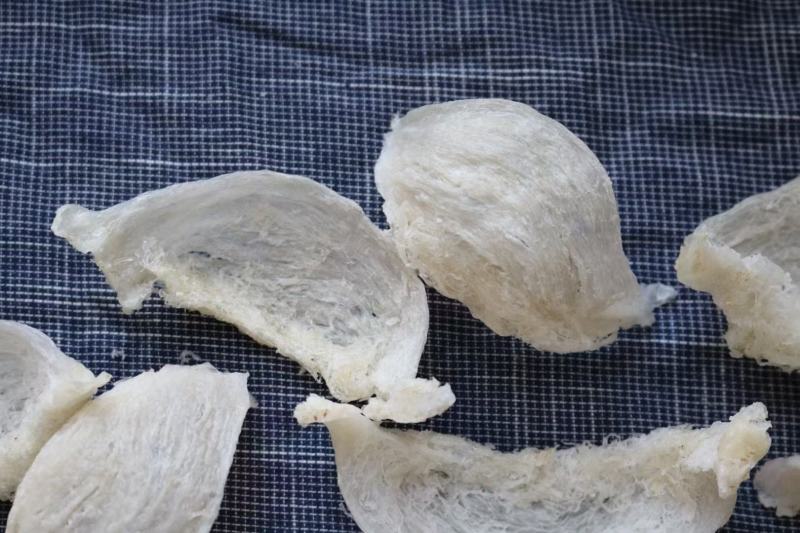 印尼燕窝批发干挑爪哇大盏燕盏95干50g570元