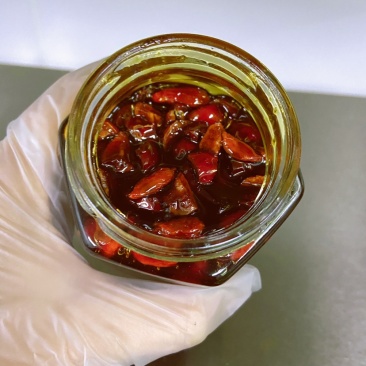 姜枣膏纯手工黑糖姜枣茶一手货源量大从优