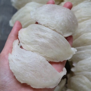 印尼燕窝批发纯干挑ov盏燕盏95干50g640元
