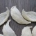 印尼燕窝批发纯干挑ov盏燕盏95干50g640元
