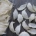 印尼燕窝批发纯干挑ov盏燕盏95干50g640元