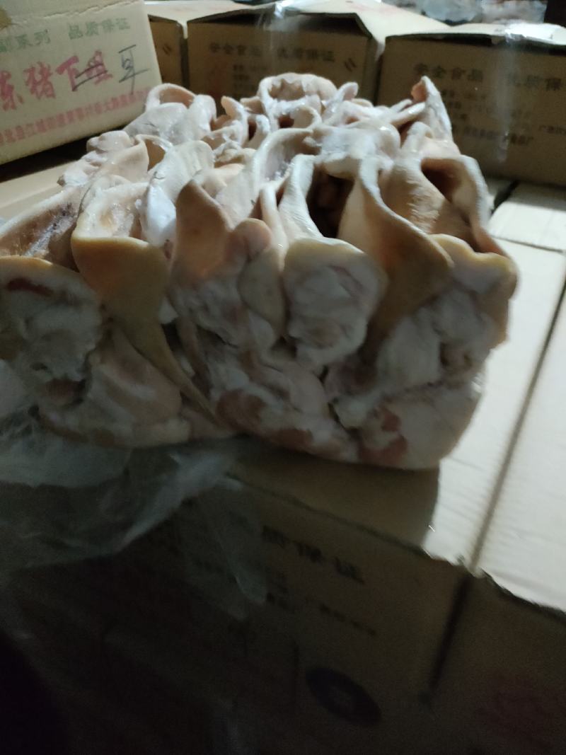 国产新鲜冻猪耳朵去干净毛