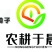 京帅903肉丝瓜种子早生高产味清甜春夏秋短大肉蔬菜种孑子