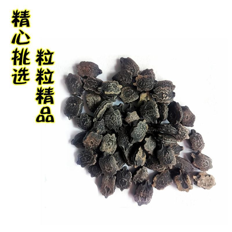 绿白苦瓜种子中早熟珍珠瘤菜农直供高品质苦