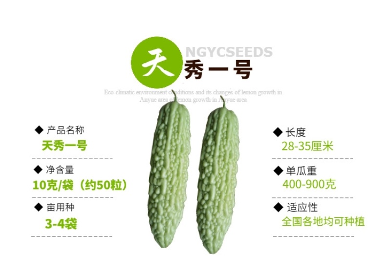 绿白苦瓜种子中早熟珍珠瘤菜农直供高品质苦
