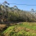化州一山地出租，400亩，80元，可签30年