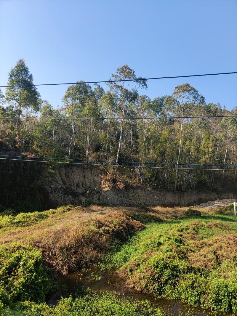 化州一山地出租，400亩，80元，可签30年