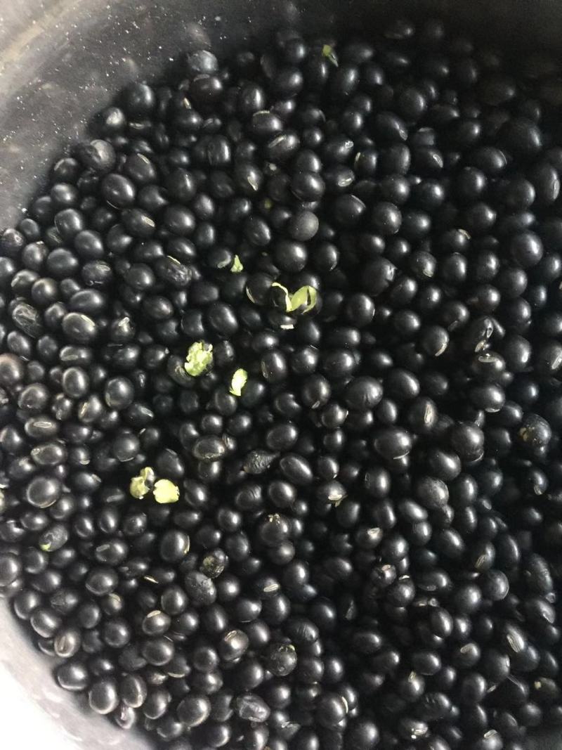 黑豆青仁黑豆量大便宜