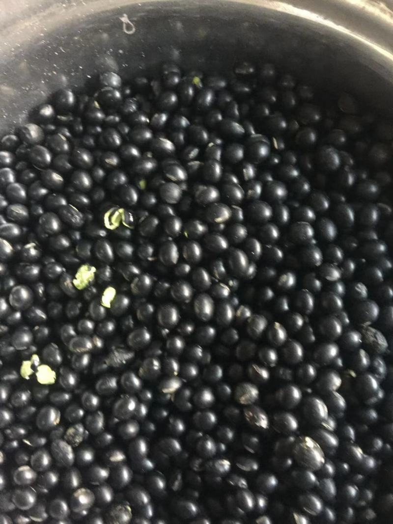黑豆青仁黑豆量大便宜