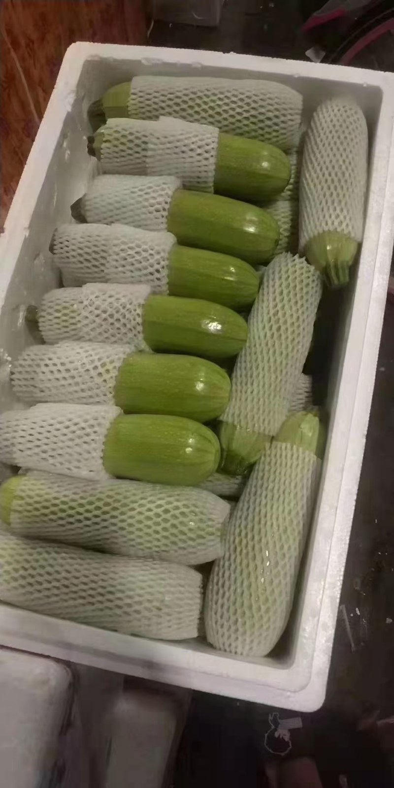 河北邯郸绿皮西葫芦质量好价格便宜交通运输方便