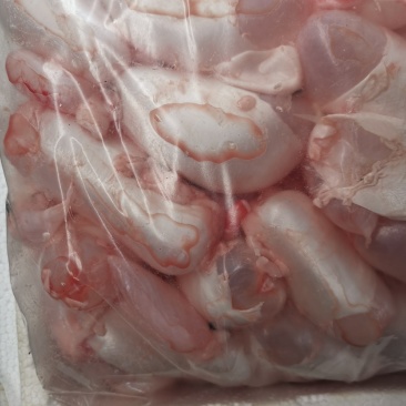 潜江特色新鲜鱼泡，美味又养颜