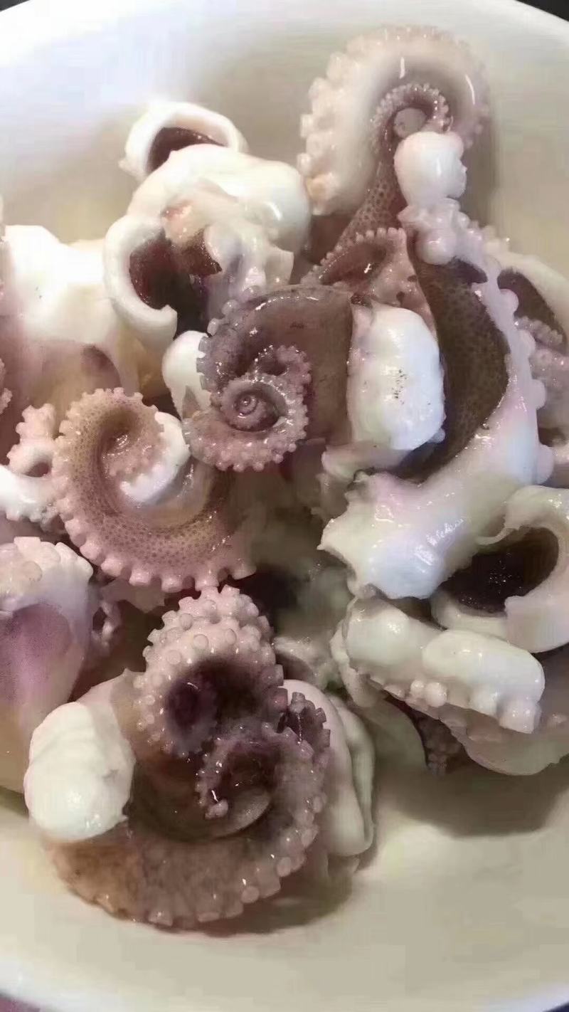 章鱼八爪鱼八带鱼短蛸一口章三去章鱼