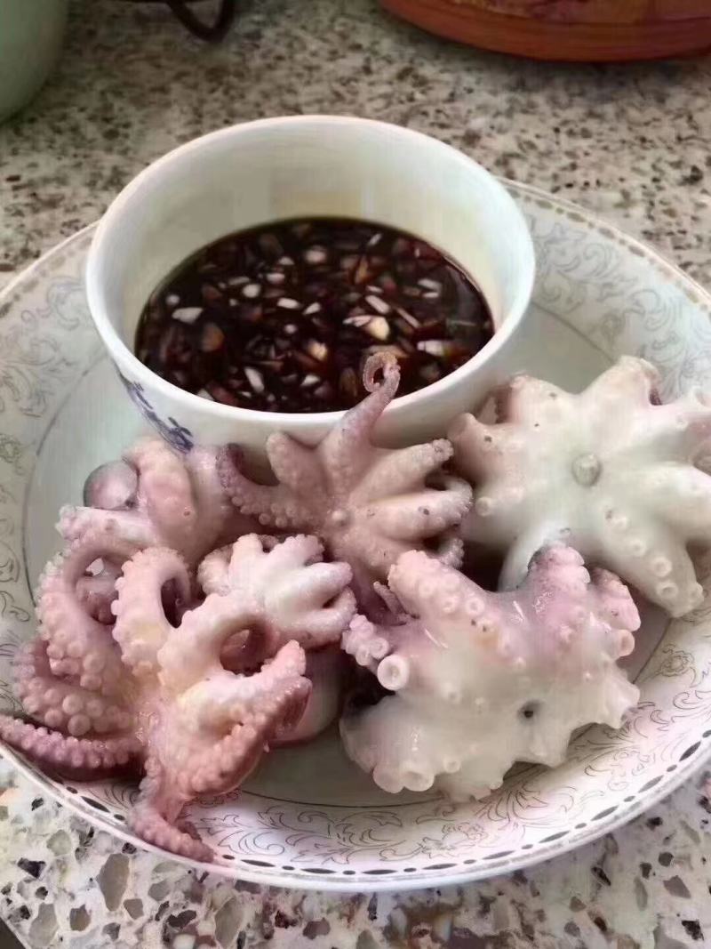 章鱼八爪鱼八带鱼短蛸一口章三去章鱼