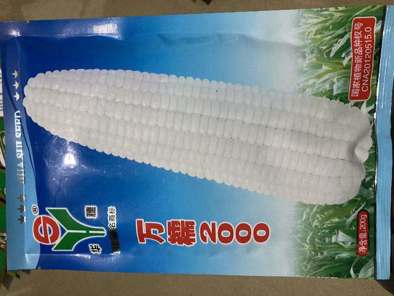 万糯2000玉米种子、200克/4斤包装，白糯玉米种子
