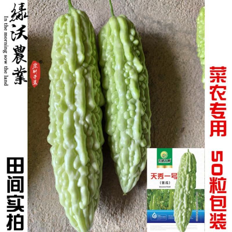 绿白苦瓜种子中早熟珍珠瘤菜农直供高品质苦