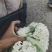 温州专业菜花代收90天小米花现已大量上市基地直发对接商超