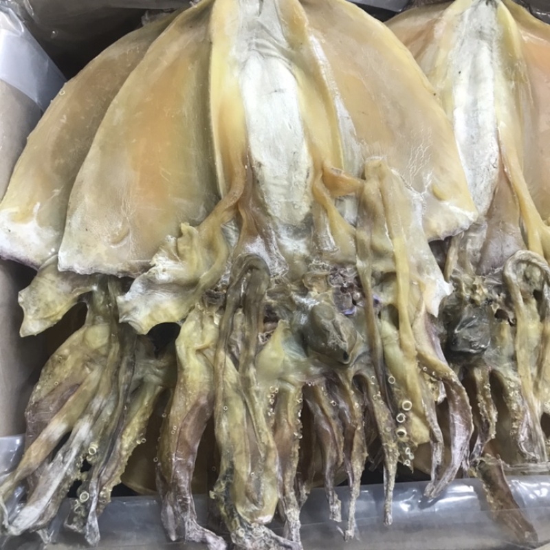 墨鱼干东鸡花鸡干货年货一斤一头淡盐